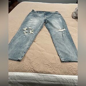 Women Distressed Blue Jeans